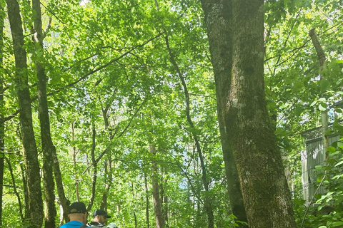 Easy Hike to Tampa Peak & Panoramic Coffee Break