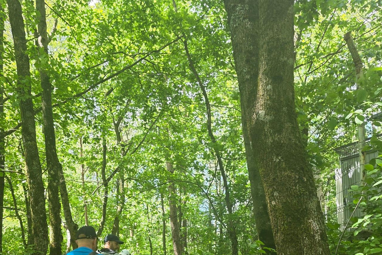 Easy Hike to Tampa Peak & Panoramic Coffee Break