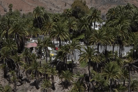 Grande Canarie : vidéo VIP PRIVÉE en drone 4K du nord de l'îleGrande Canarie : visite vidéo VIP privée en drone 4K