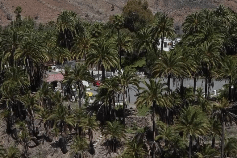 Grande Canarie : vidéo VIP PRIVÉE en drone 4K du nord de l'îleGrande Canarie : visite vidéo VIP privée en drone 4K