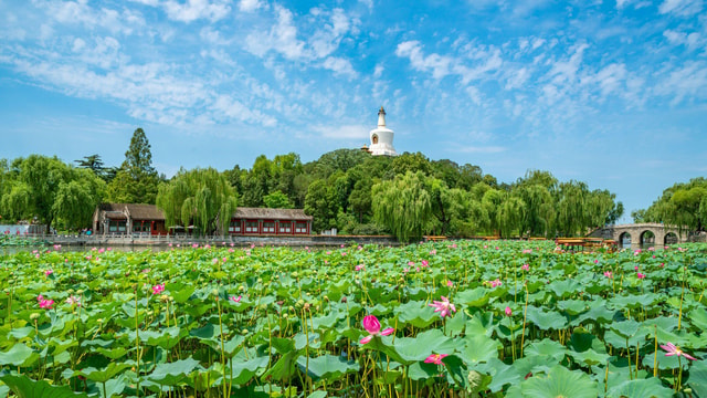 Beijing：Beihai Park E-ticket Booking Service