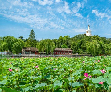 Beijing：Beihai Park E-ticket Booking Service