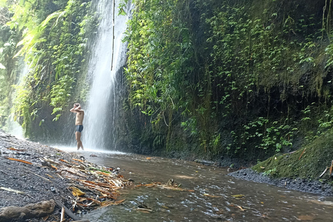 ubud trip monkey forest sanctuary
