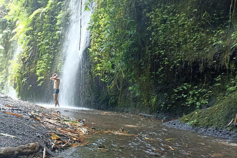 ubud trip monkey forest sanctuary