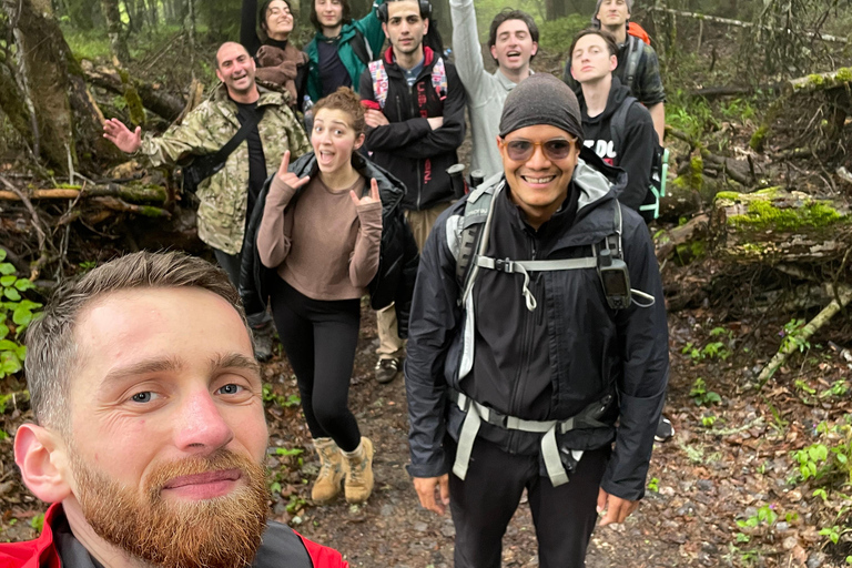 Toetaisi wildernis trektocht: 4-daagse trektocht door de wildernis