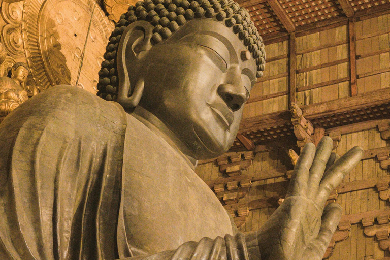 Private sightseeing tour of Nara in Spanish with pick-up from your hotel in Osaka or Kyoto 6-Hour Private Tour in Spanish