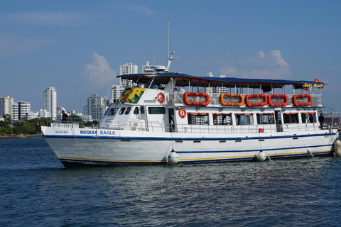 Carthagène : excursion en bateau de nuit avec dîner et open barCARTAGENA : Excursion en bateau de nuit blanche avec dîner et open bar