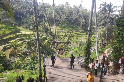 Ubud: Foresta di scimmie, terrazze di riso e cascateUbud: Foresta di scimmie, terrazza di riso e cascata