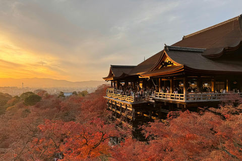 Kyoto Private Customizable Tour with English Guide & Vehicle