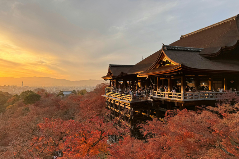 Kyoto Private Customizable Tour with English Guide & Vehicle