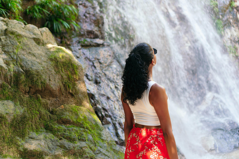 From Galle: Sinharaja Rainforest Trek & Village Lunch From Deniyaya: Private Tuk-Tuk, Rainforest Trek & Lunch