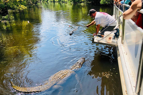 New Orleans: Swamp Boat Ride & Whitney Plantation Tour