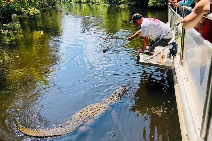 New Orleans: Sumpfbootfahrt & Whitney Plantation Tour. Foto: GetYourGuide