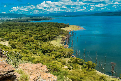 Lake Nakuru National Park: Daytrip in a 4X4 Private Jeep