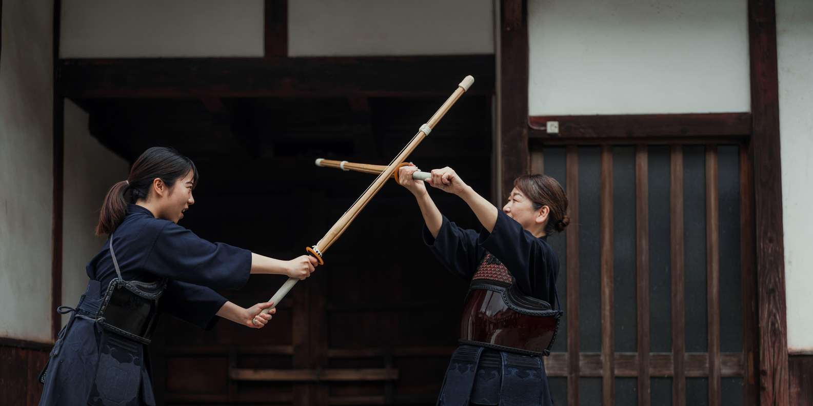 Kyoto experience — temples, geisha, bamboo grove — image 17