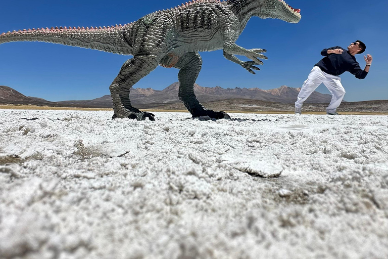 Arequipa: Half day visit to Salinas National Reserve