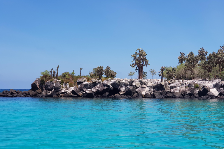 From Puerto Ayora: Santa Fe Island Snorkeling Day Tour