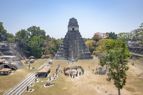 Tikal From Belize: All-Inclusive Day Tour