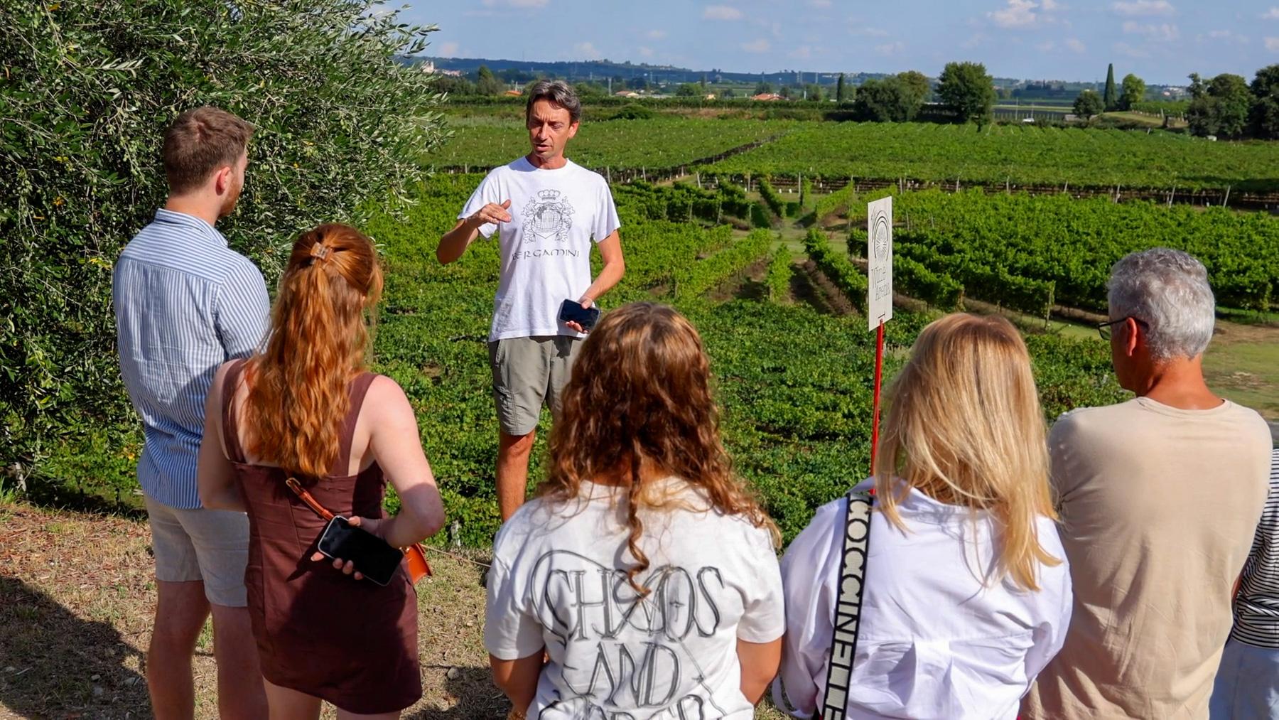 Lazise: Kellertour mit Gardaseeweinen und Verkostung