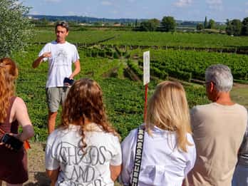 Lazise: Wijnmakerij Tour met Garda wijnen en proeverij