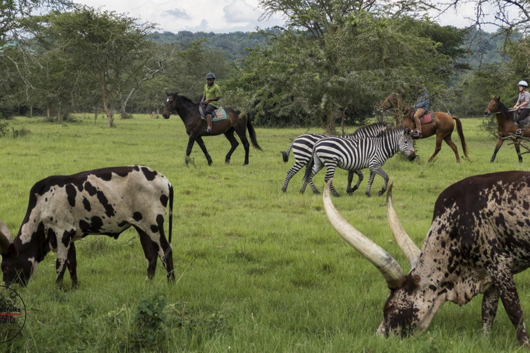 UGANDA EXOTIC SAFARI — BUSH CAMP RETREAT | 4-Day Luxury