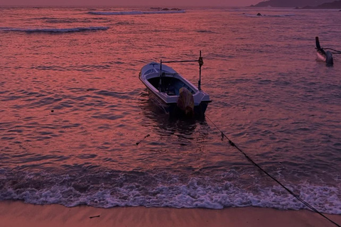 5 Days Sri Lanka Highlights Tour: Culture, Nature & Heritage