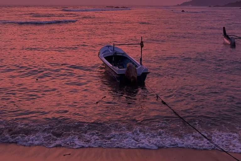 5 Days Sri Lanka Highlights Tour: Culture, Nature & Heritage