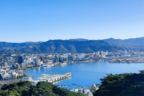 ويلينغتون: جولة خاصة لمشاهدة فيلم ماجيك