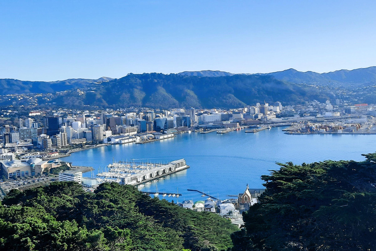 ويلينغتون: جولة خاصة لمشاهدة فيلم ماجيك