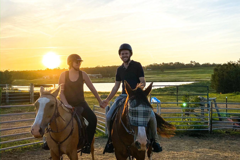 Hunter Valley: Sunset Horse Riding Tour 90min