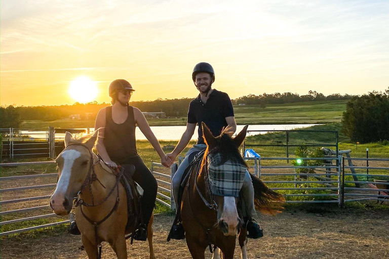 Hunter Valley: Sunset Horse Riding Tour 90min