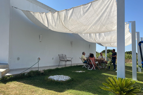 From Cagliari: Wine Cellar Tour with Tastings