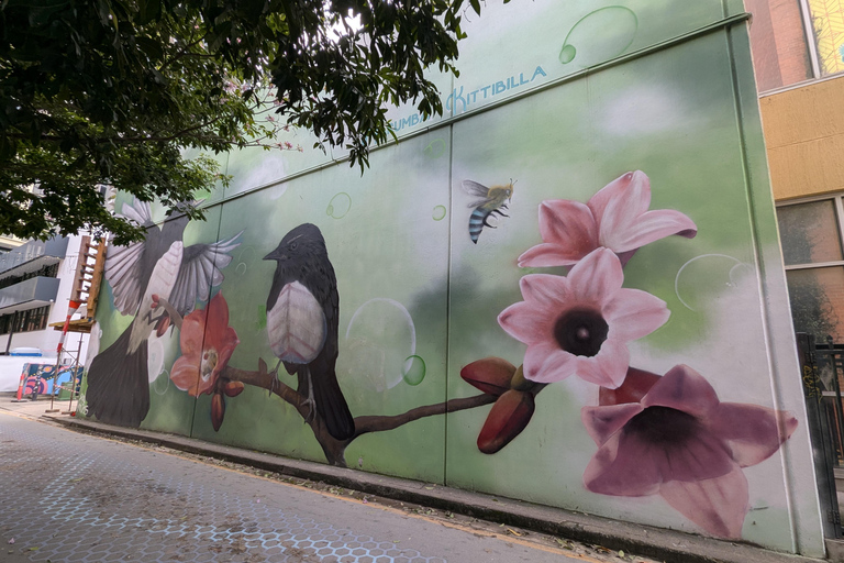 Brisbane: Guided Public and Street Art Walking Tour