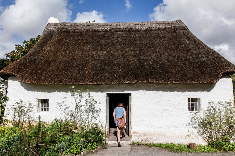 Cardiff: Bay Trail, St Fagans & Cathedral Half Day Tour