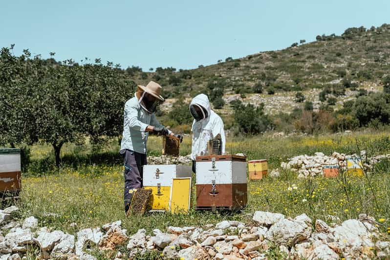 Da Rethymno: Arkadi- Margarites - Grotta di Melidoni - Axos