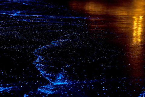 Crepúsculo en canoa a la Isla James Bond con plancton brillanteServicio de recogida del hotel en Phuket