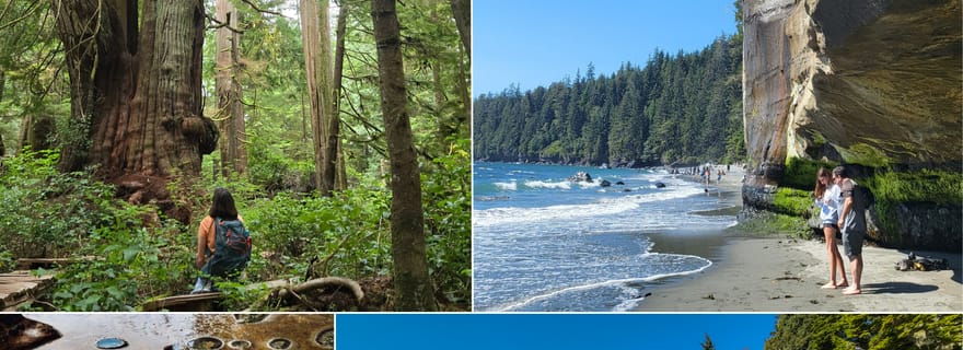 Victoria : Forêt tropicale ancienne, cascade de canyon et plages