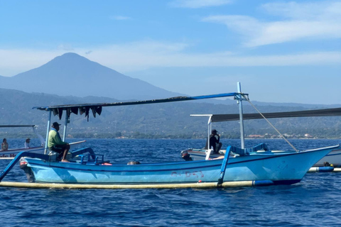 Lovina: Dolphin Watching, Gitgit Waterfall and Ulun Danu Lovina: Dolphin Watching, Gitgit Waterfall and Ulun Danu