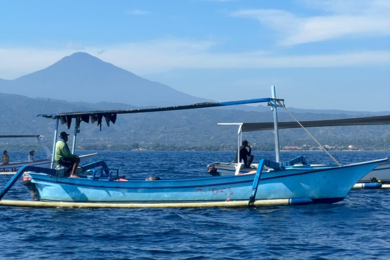 Lovina: Delfinbeobachtung, Gitgit Wasserfall und Ulun Danu