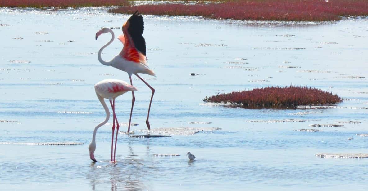 Galería de fotos para redes