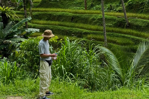 Tetebatu Waterfall Guided Hike with Local Guide