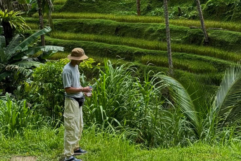 Tetebatu Waterfall Guided Hike with Local Guide