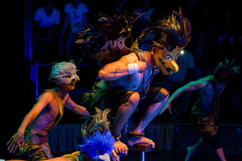 Siem Reap: Afternoon APOPO Rats Tour + Phare Circus Option Tour Included Phare Circus Show