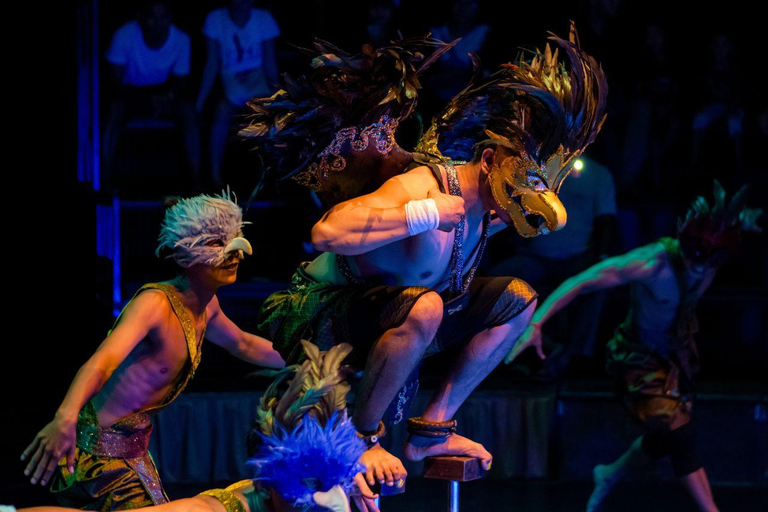 Siem Reap: Afternoon APOPO Rats Tour + Phare Circus Option Tour Included Phare Circus Show