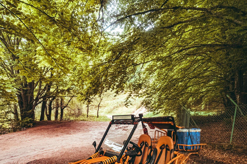 Thessaloniki: Mountain Buggy AbenteuerRoute 1 Peristera Village(+Halt an der Taverne &quot;Platanos&quot;)