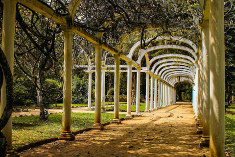 Rio de Janeiro: Botaniska trädgården och Tijuca Forest Jeep TourFrån hotell i södra zonen: Italiensktalande