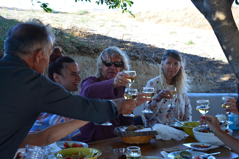 Santorini Family Farm Food & Wine Tour with Cooking Class Cooking lesson Only