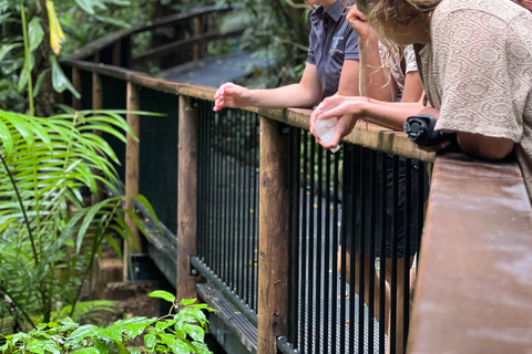 Private Great Barrier Reef and Mossman Gorge Tour