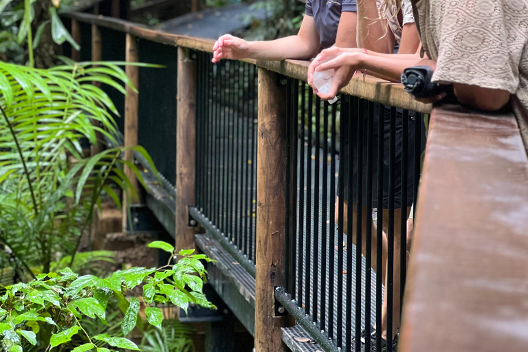 Private Great Barrier Reef and Mossman Gorge Tour