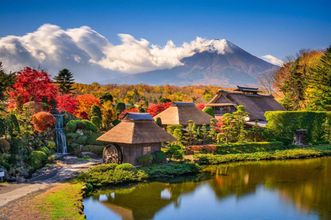 Mt Fuji Private Luxury Full-Day Tour with customization
